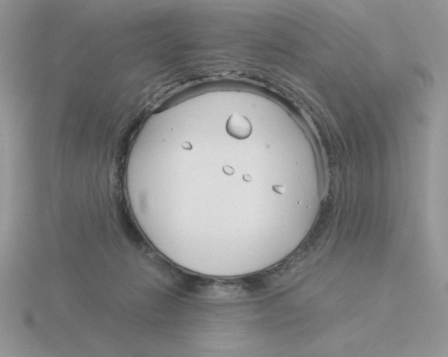 X0000115820270200912111257