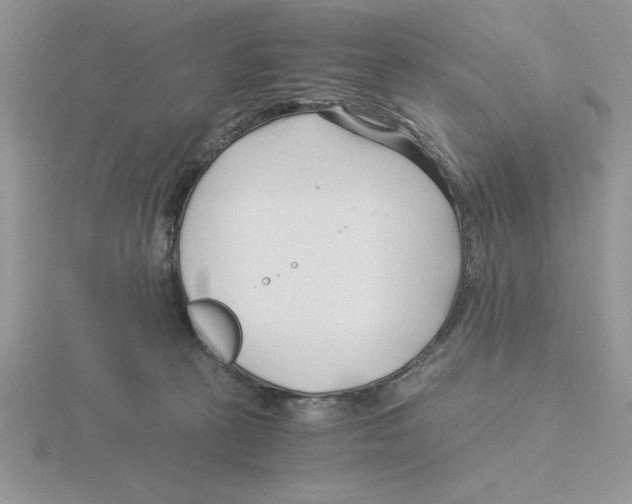 X0000115820273200912111257