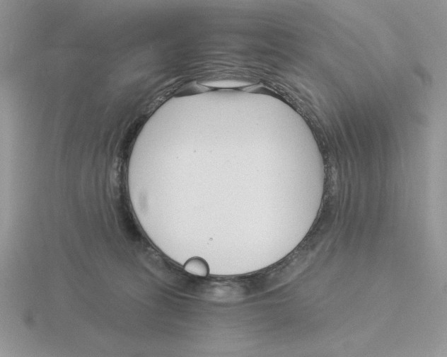 X0000115820275200912111257