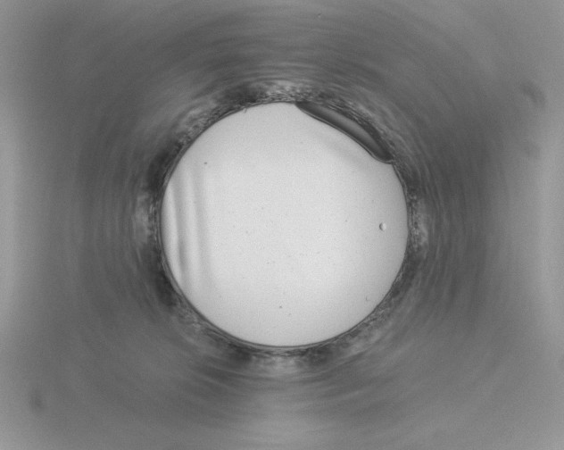 X0000115820276200912111258