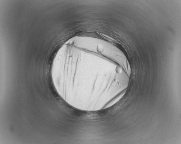 X0000115820278200912111258