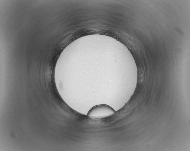 X0000115820279200912111258