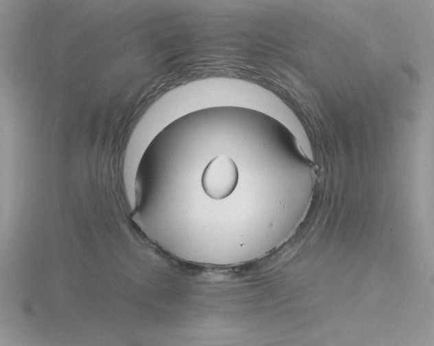 X0000115820280200912111258