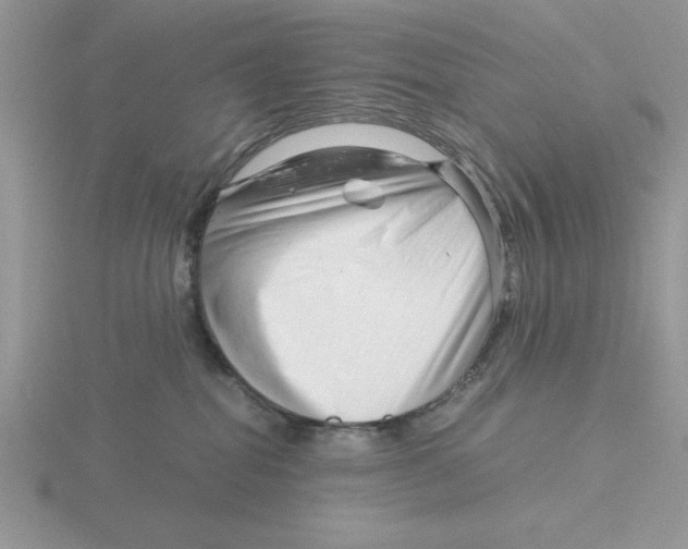 X0000115820282200912111258