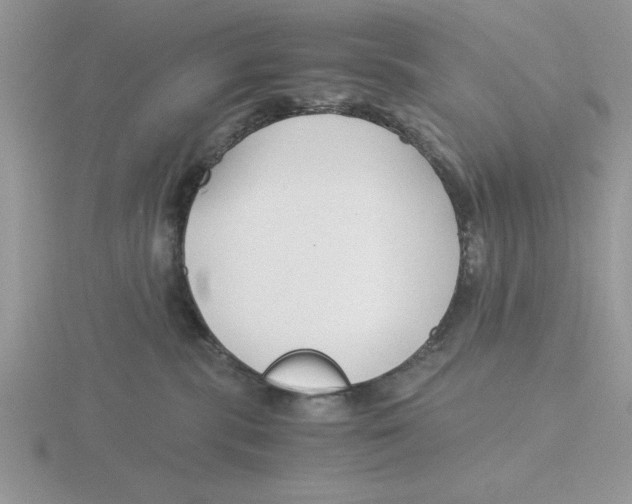 X0000115820283200912111258