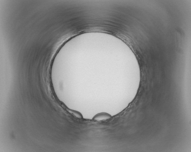 X0000115820289200912111257