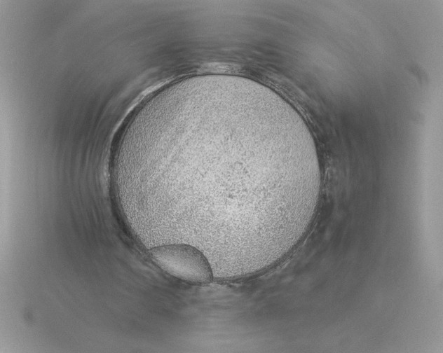 X0000115820290200912111257