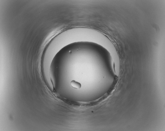 X0000115820293200912111257