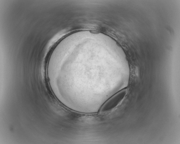 X0000115820294200912111257