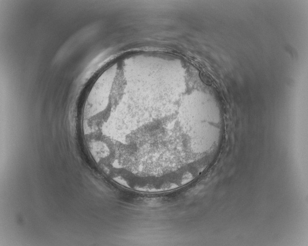 X0000115820295200912111257