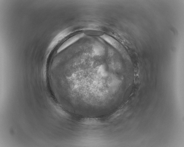 X0000115820296200912111257