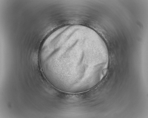 X0000115820297200912111257