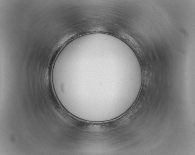 X0000115820298200912111257