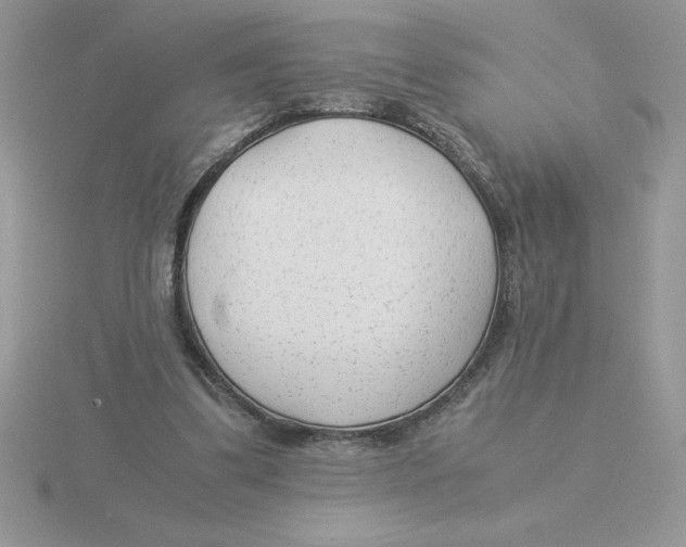 X0000115820299200912111257