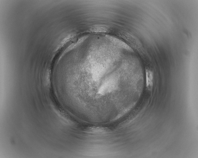 X0000115820300200912111257