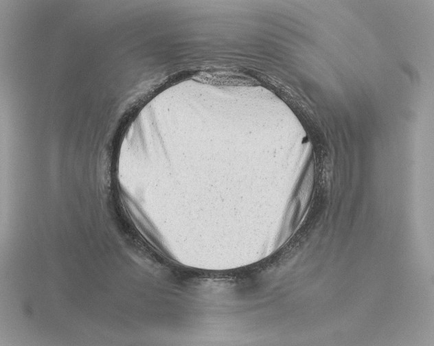 X0000115820303200912111257