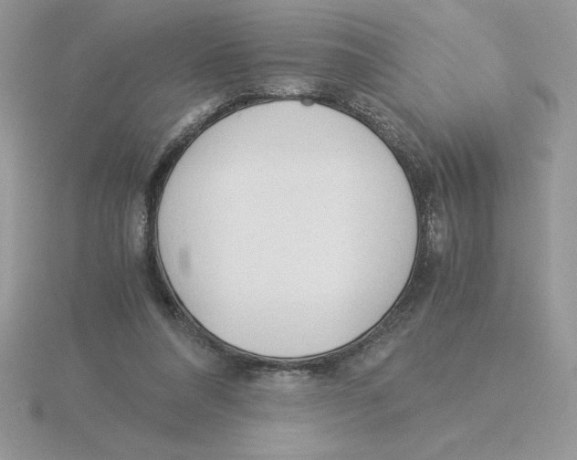 X0000115820304200912111257