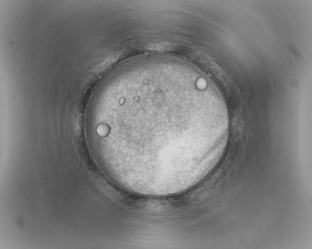 X0000115820305200912111257