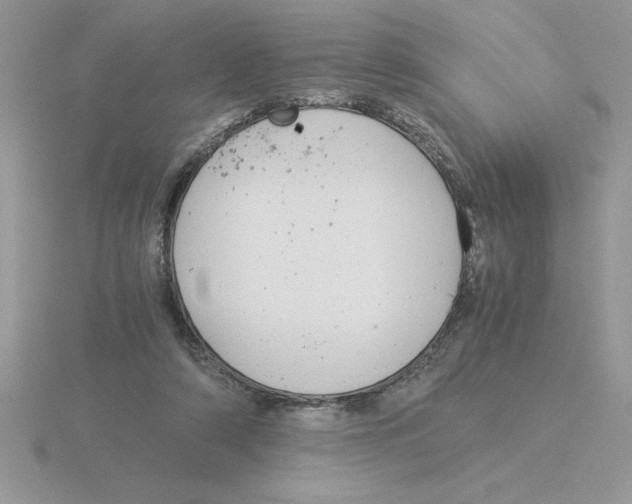 X0000115820306200912111257