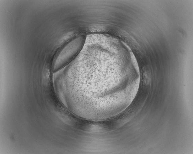 X0000115820308200912111257