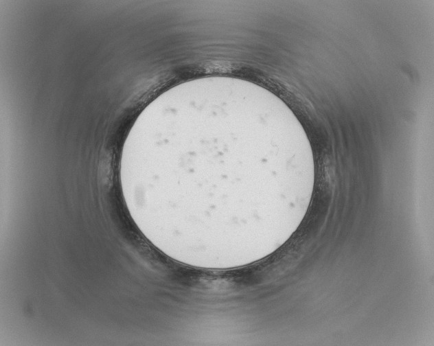 X0000115820311200912111257