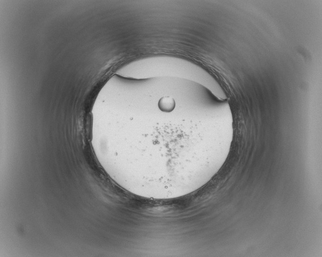 X0000115820312200912111257