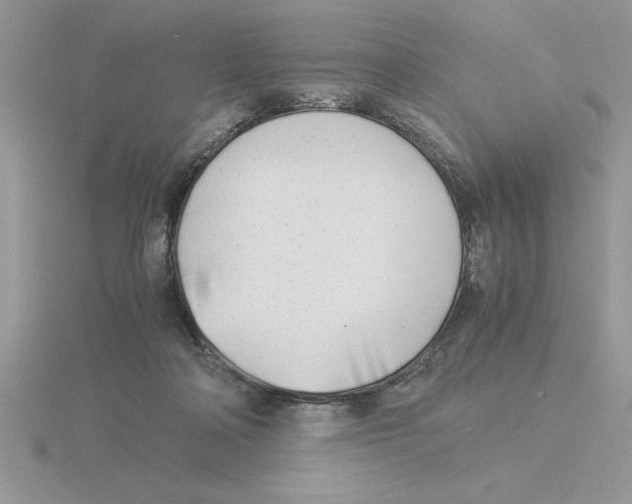 X0000115820314200912111257