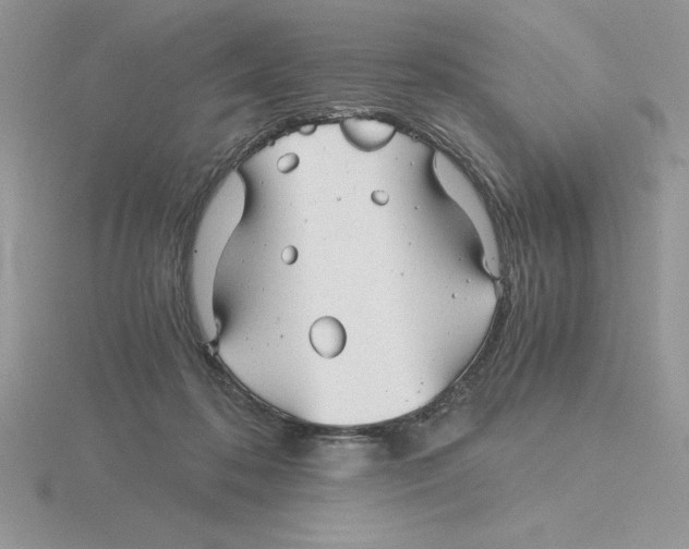 X0000115820316200912111257