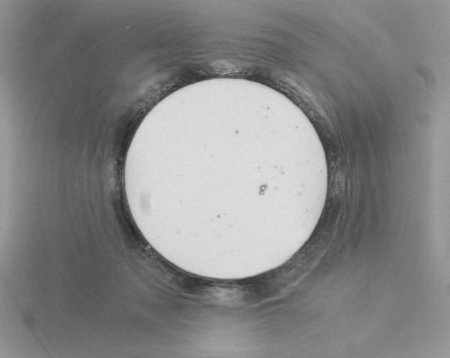 X0000115820317200912111257