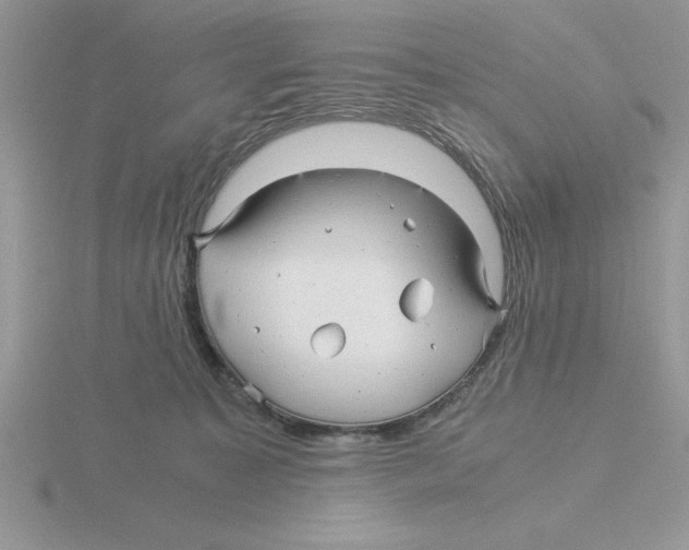 X0000115820323200912111257