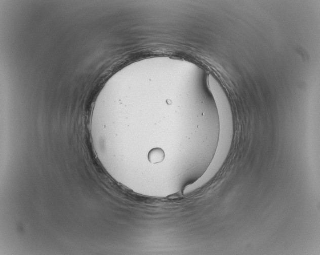 X0000115820325200912111257