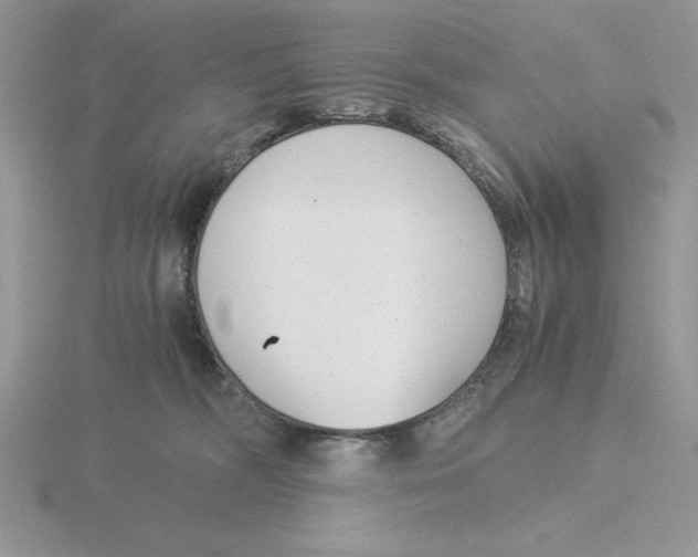 X0000115820326200912111257