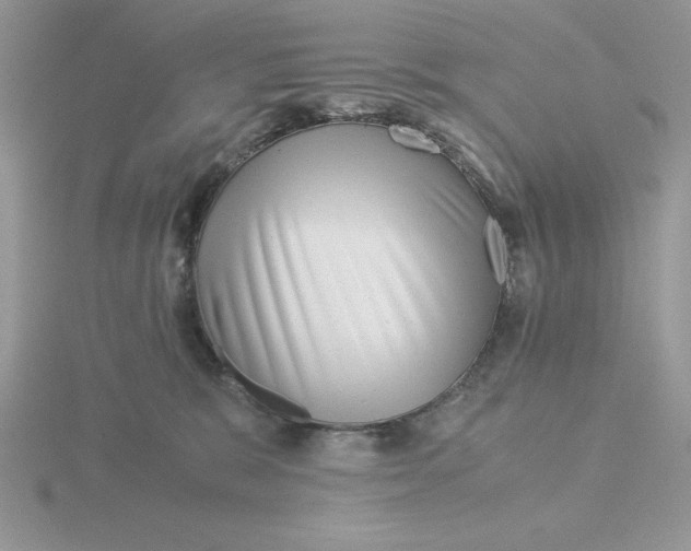 X0000115820327200912111257