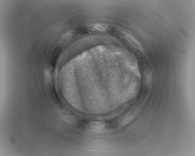 X0000115820328200912111257