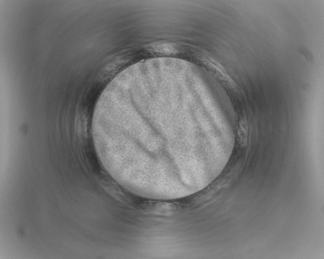 X0000115820330200912111257