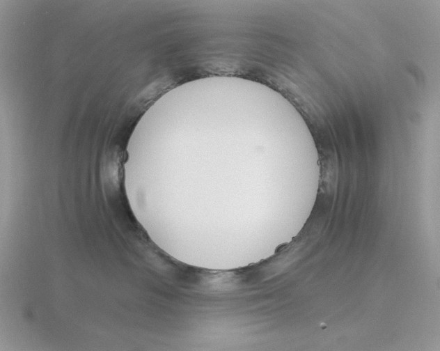 X0000115820334200912111256