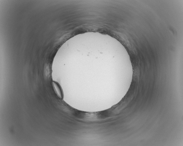 X0000115820335200912111256