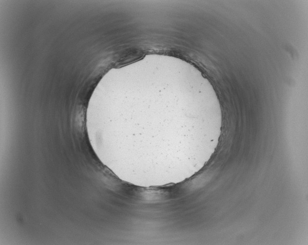 X0000115820336200912111256