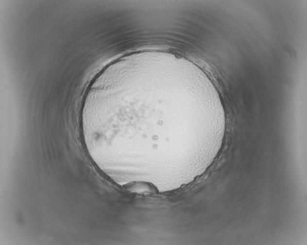 X0000115820337200912111256