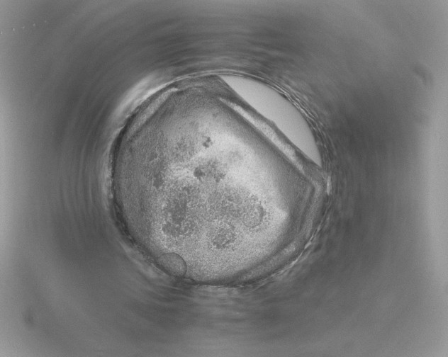 X0000115820339200912111256