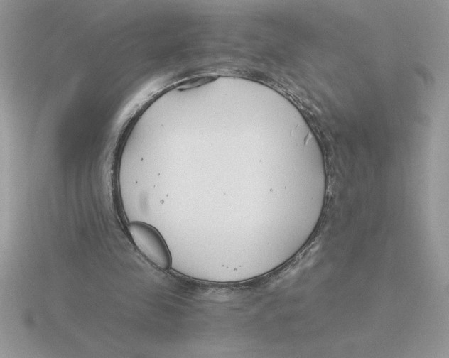 X0000115820341200912111256