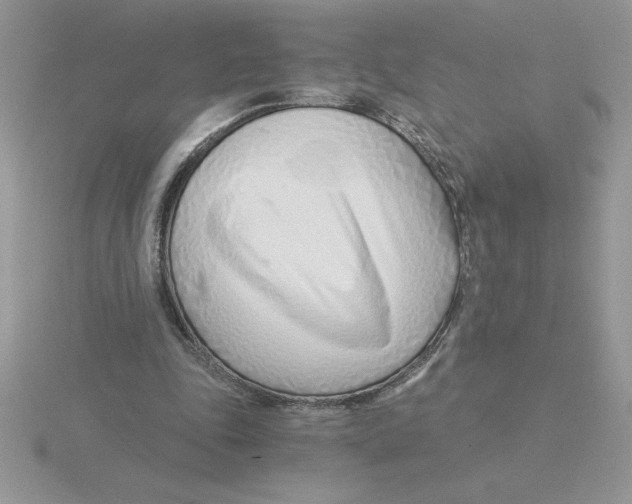 X0000115820343200912111256