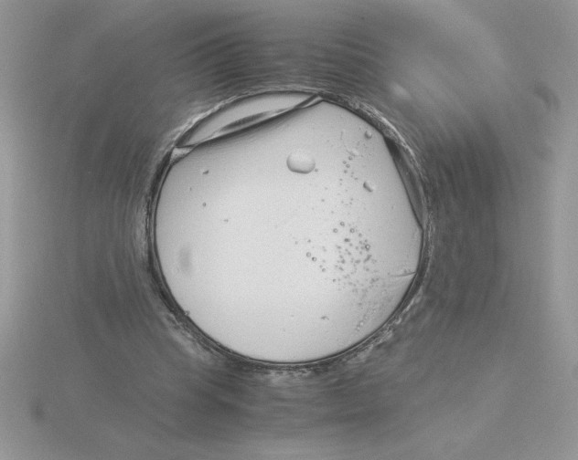 X0000115820345200912111256