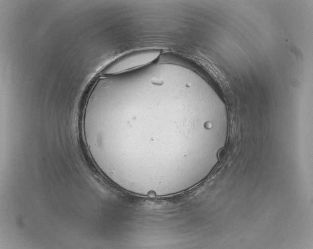 X0000115820346200912111256