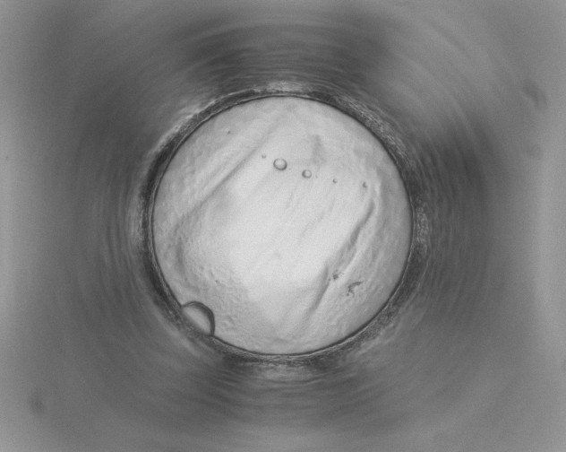 X0000115820347200912111256