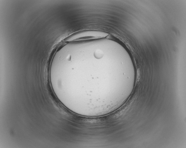 X0000115820349200912111256