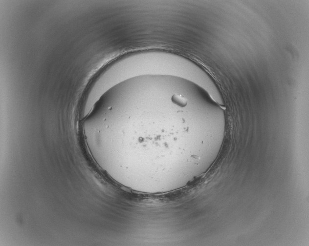 X0000115820350200912111256