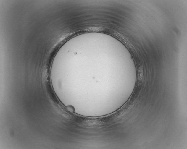 X0000115820351200912111256