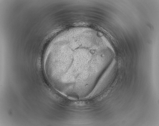 X0000115820353200912111256