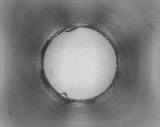 X0000115820354200912111256